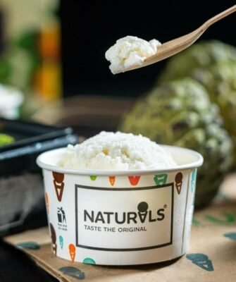 Natural Ice cream Flavours