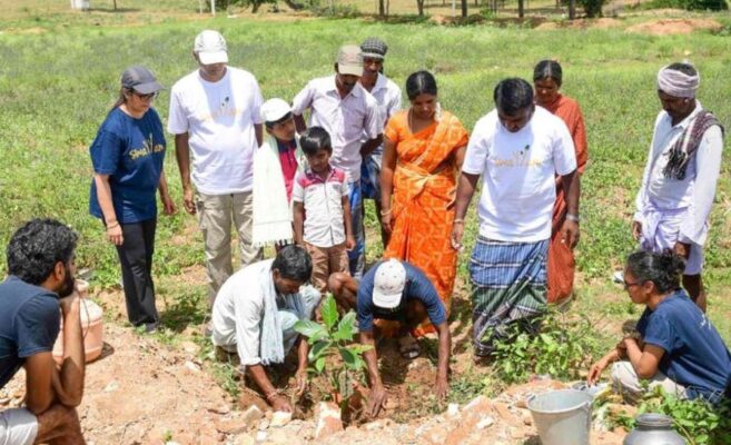 Tree Crops Project 1000 Tree Project, Helping Marginal Farmers Become Self Reliant