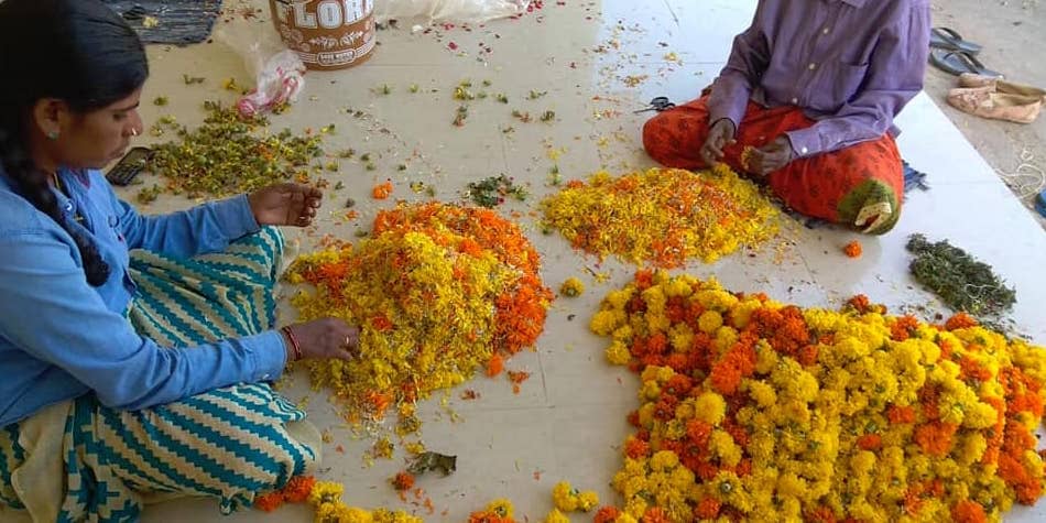 temple flower recycling