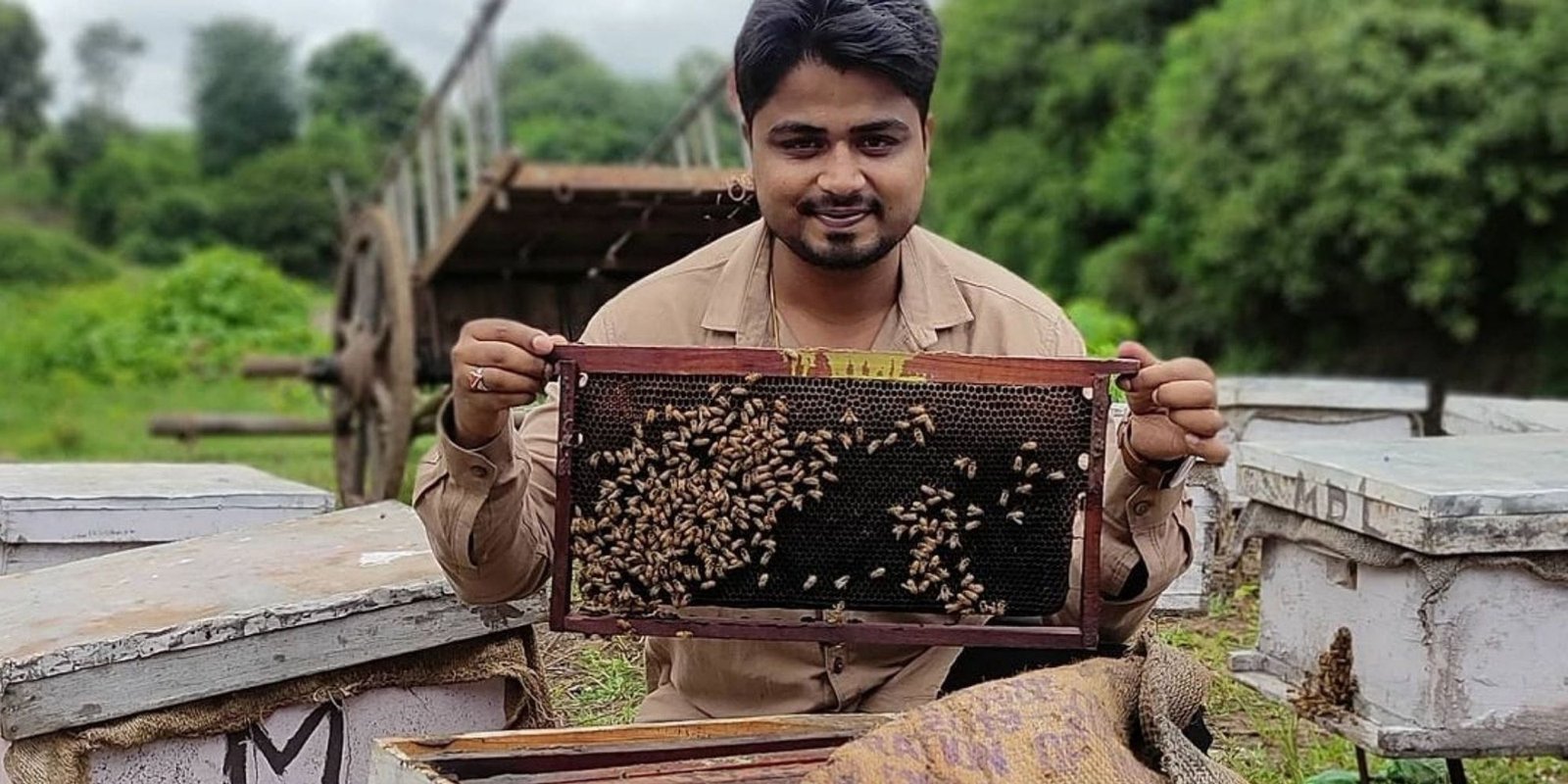 Wanna Know About Organic Bee Farming? Madhu Pushp Is Turning Beekeeping Into A Huge Profit-making Business