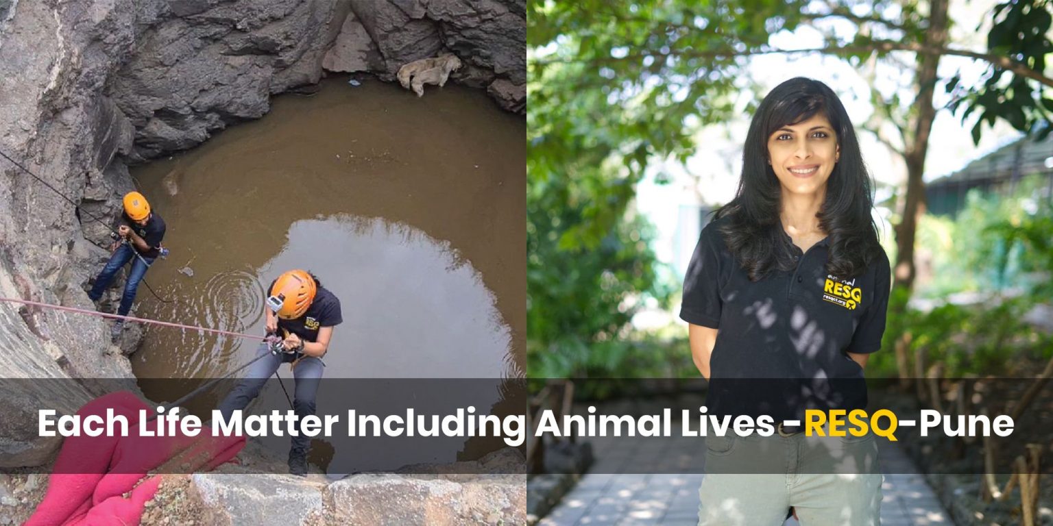 Rakesh Khatri The Nest Man Of India, Built Over 1,25,000 Nests