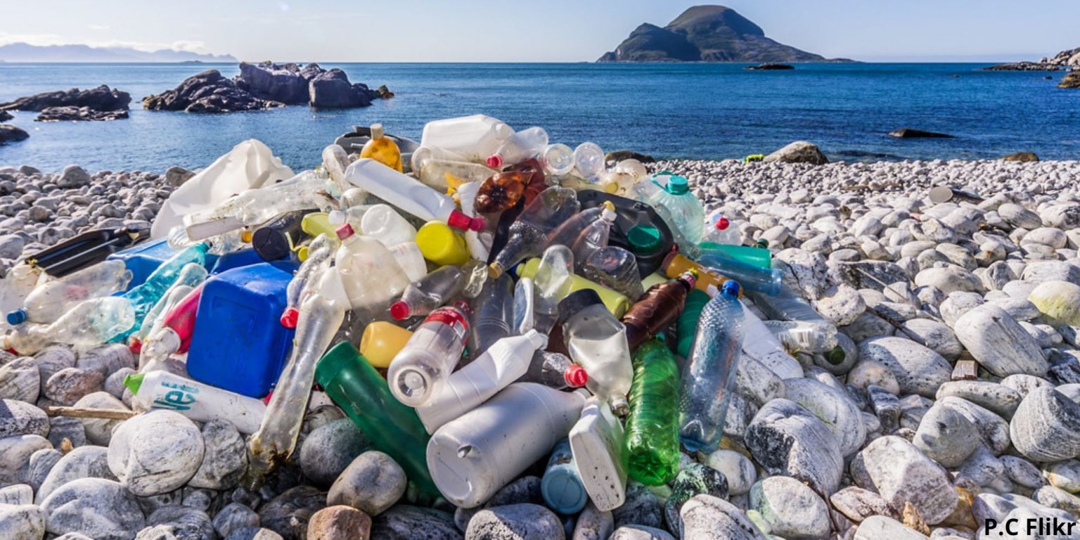 Rakesh Khatri The Nest Man Of India, Built Over 1,25,000 Nests