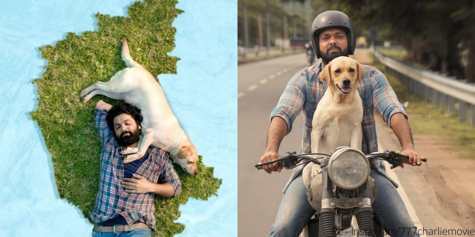 Rakesh Khatri The Nest Man Of India, Built Over 1,25,000 Nests