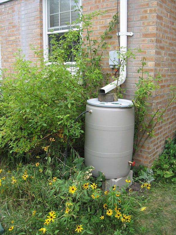 Top 5 Easy Ways To Save Water By Rain Water Harvesting