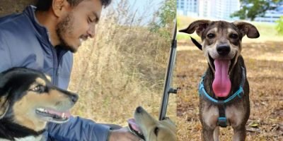 Meet The Dog Man - This 23 Yr Old Boy From Maharashtra Is Changing The Lives Of Stray Animals
