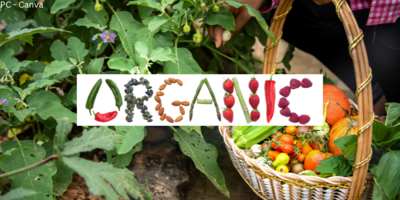 Advantages of organic farming