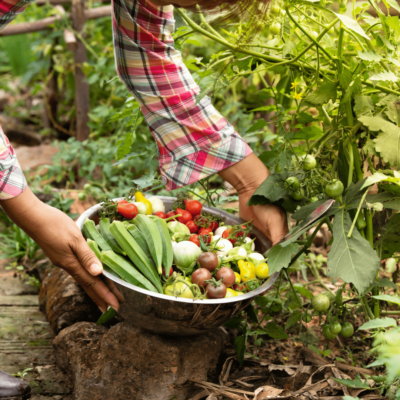 Organic farming