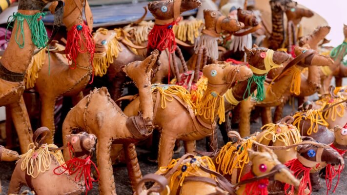 Bikaner camel festival 2024